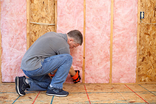 Best Specialized Insulation Services in Towson, MD