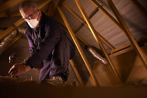 Types of Insulation We Offer in Towson, MD